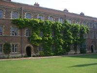 Wisteria sinensis - vistárie čínská