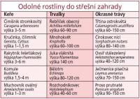Střešní zahrady: odolné rostliny do střešní zahrady Střešní zahrady: odolné rostliny do střešní zahrady