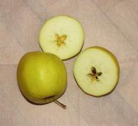 Ovocná zahrada - opylování: Pouzdra semeníku u Golden