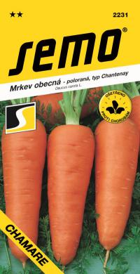 Daucus carota 'CHAMARE' - mrkev typu Chantenay (SEMO)