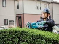 Živý plot správného tvaru (PIXABAY)