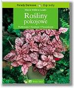 Rośliny pokojowe Rośliny pokojowe