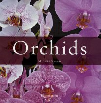 Orchids