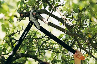 Nůžky na silné větve - řez dřevin (FISKARS)