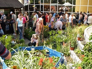 Květy 2008 (VLL)