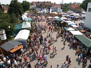 Květy 2008 (VLL)