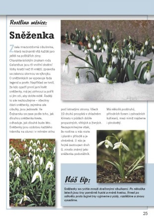 Zahradnický kalendář 2009 - ukázka z knihy