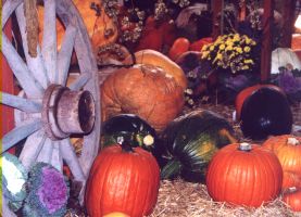 Hortikomplex expozice