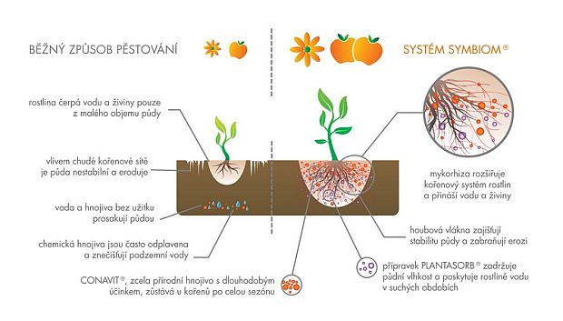 Mykorhizní houby: porovnání způsobů pěestování (SYMBIOM) Mykorhizní houby: porovnání způsobů pěestování (SYMBIOM)