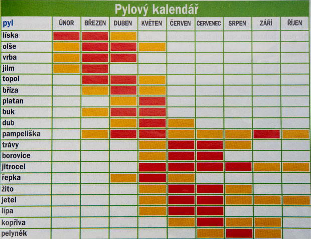 Pylový kalendář: žlutá - slabší výskyt pylu, červená - vrcholná pylová sezona
