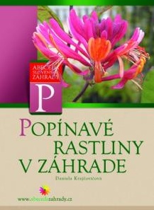 Popínavé rastliny v záhrade