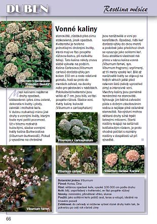 Zahradnický kalendář 2011 - ukázka z knihy (PROVOBIS)