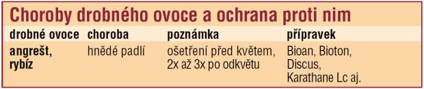 Ochrana ovocných dřevin: choroby drobného ovoce a ochrana proti nim (NKZ)