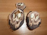 Ořešák černý (Juglans nigra)