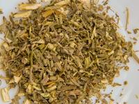 Pelyněk pravý (Artemisia absinthium)