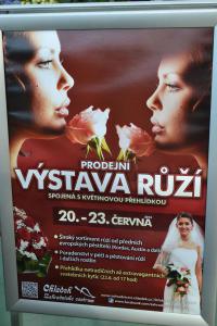 Výstava růží