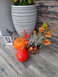 Podzimní výzdoba