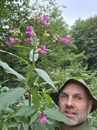 Netýkavka žláznatá (Impatiens glandulifera)